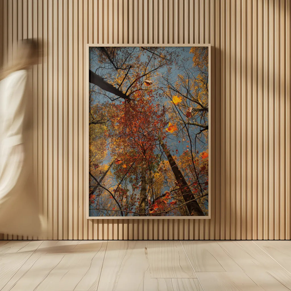 Looking Up II by Aledanda. shown as over sized large wall art. Available as an archival giclee rolled canvas, fine art paper, or poster print. SKU 38287h.