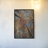 Looking Up II by Aledanda. shown as a paper print in a black flame. Available as a archival giclee rolled canvas, fine art paper, or poster print. SKU 38287h.