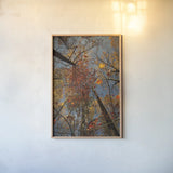 Looking Up II by Aledanda. shown as a paper print in a natural frame. Available as a archival giclee rolled canvas, fine art paper, or poster print. SKU 38287h.