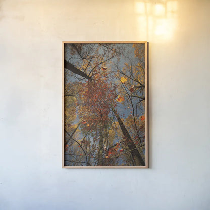Looking Up II by Aledanda. shown as a paper print in a natural frame. Available as a archival giclee rolled canvas, fine art paper, or poster print. SKU 38287h.