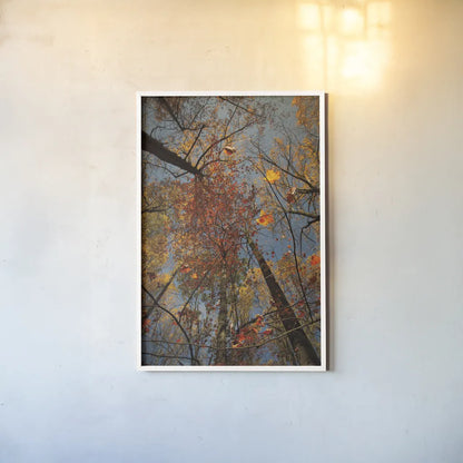 Looking Up II by Aledanda. shown as a paper print in a white frame. Available as a archival giclee rolled canvas, fine art paper, or poster print. SKU 38287h.