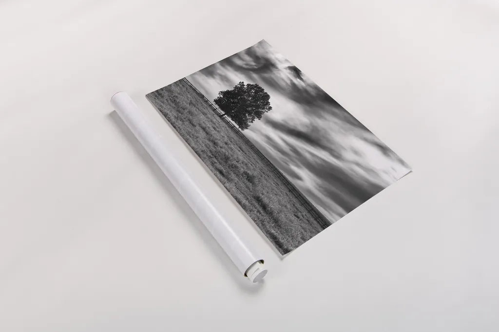 Majestic by Aledanda. shown as a rolled paper print. Available as archival giclee rolled canvas, fine art paper, or poster print. SKU 38321i.