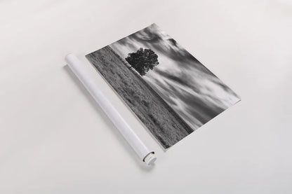 Majestic by Aledanda. shown as a rolled paper print. Available as archival giclee rolled canvas, fine art paper, or poster print. SKU 38321i.