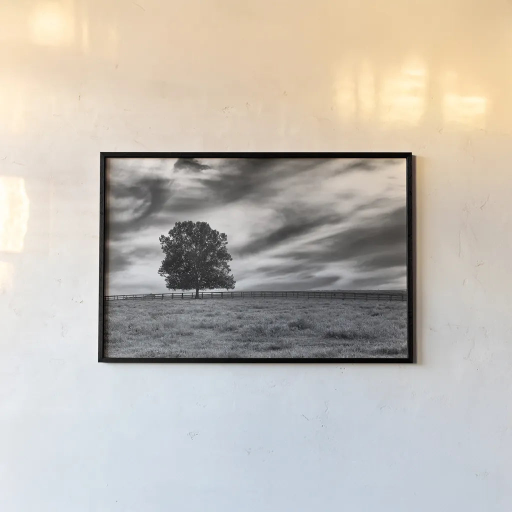 Majestic by Aledanda. shown as a paper print in a black flame. Available as a archival giclee rolled canvas, fine art paper, or poster print. SKU 38321i.