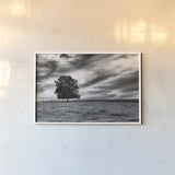 Majestic by Aledanda. shown as a paper print in a white frame. Available as a archival giclee rolled canvas, fine art paper, or poster print. SKU 38321i.