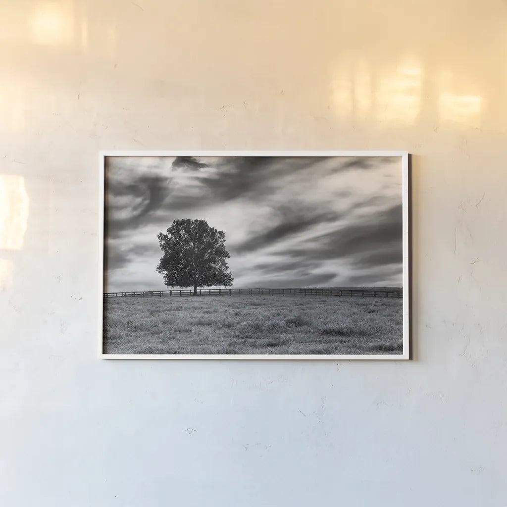 Majestic by Aledanda. shown as a paper print in a white frame. Available as a archival giclee rolled canvas, fine art paper, or poster print. SKU 38321i.