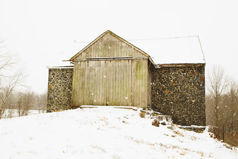 Majestic in the Snow by Aledanda. SKU 60532i. Archival Giclee Fine art print for wall decor.
