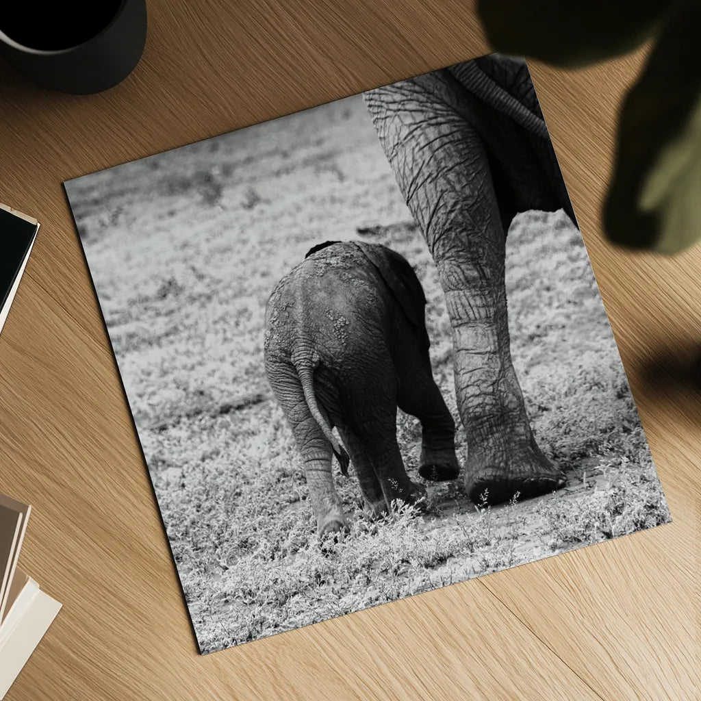 Mama and Baby Elephant II by Aledanda. Shown as a detailed flat fine art print, highlighting archival giclee quality. Available as an archival giclee rolled canvas, fine art paper, or poster print. SKU 58136a.