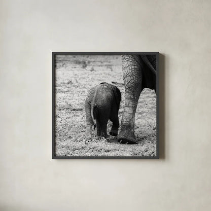 Mama and Baby Elephant II by Aledanda. Shown in a sleek black glass frame for a contemporary gallery look. Available as an archival giclee rolled canvas, fine art paper, or poster print. SKU 58136a.