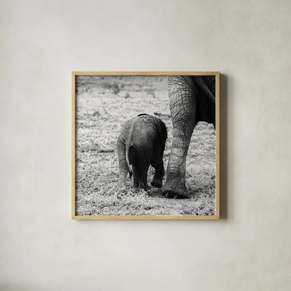 Mama and Baby Elephant II by Aledanda. Shown in a natural wood glass frame for a timeless modern aesthetic. Available as an archival giclee rolled canvas, fine art paper, or poster print. SKU 58136a.