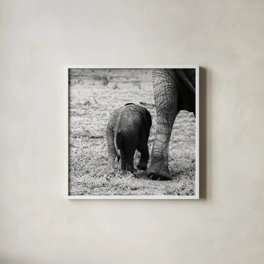 Mama and Baby Elephant II by Aledanda. Shown in a crisp white glass frame for a clean and minimalist style. Available as an archival giclee rolled canvas, fine art paper, or poster print. SKU 58136a.