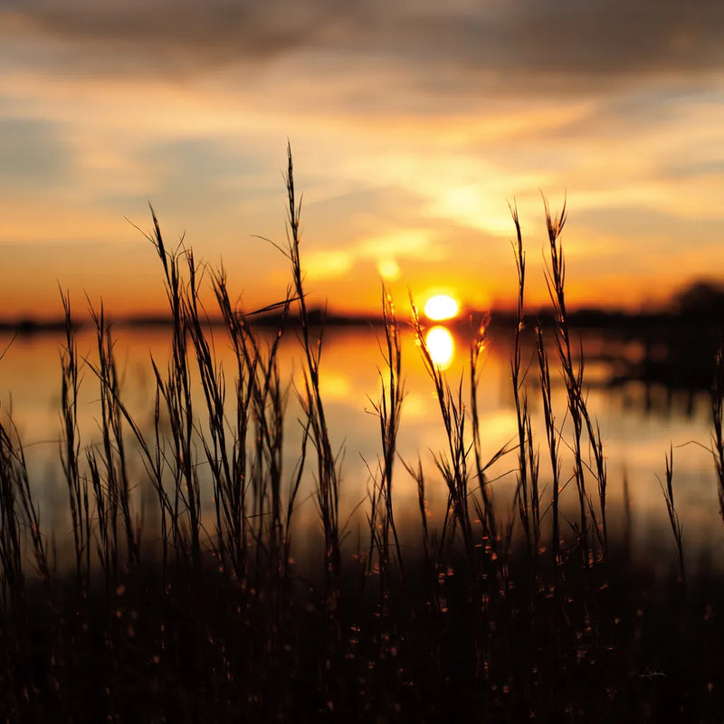 Maryland Sunset II by Aledanda. SKU 52952a. Archival Giclee Fine art print for wall decor.
