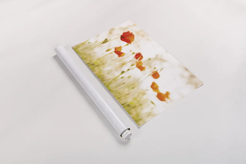 Meadow Poppies by Aledanda. shown as a rolled paper print. Available as archival giclee rolled canvas, fine art paper, or poster print. SKU 72739i.