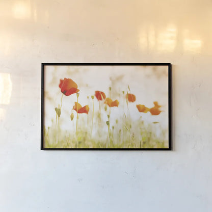 Meadow Poppies by Aledanda. shown as a paper print in a black flame. Available as a archival giclee rolled canvas, fine art paper, or poster print. SKU 72739i.