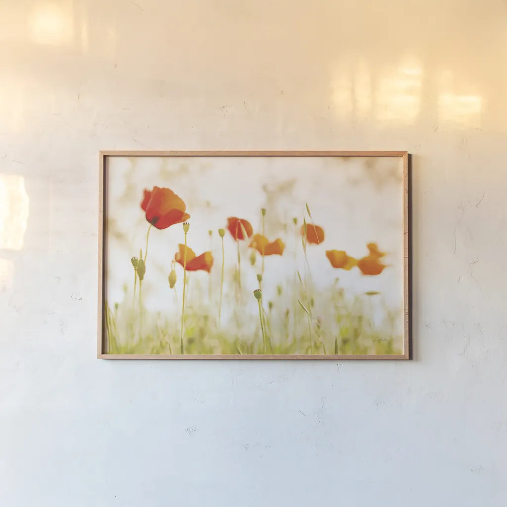 Meadow Poppies by Aledanda. shown as a paper print in a natural frame. Available as a archival giclee rolled canvas, fine art paper, or poster print. SKU 72739i.
