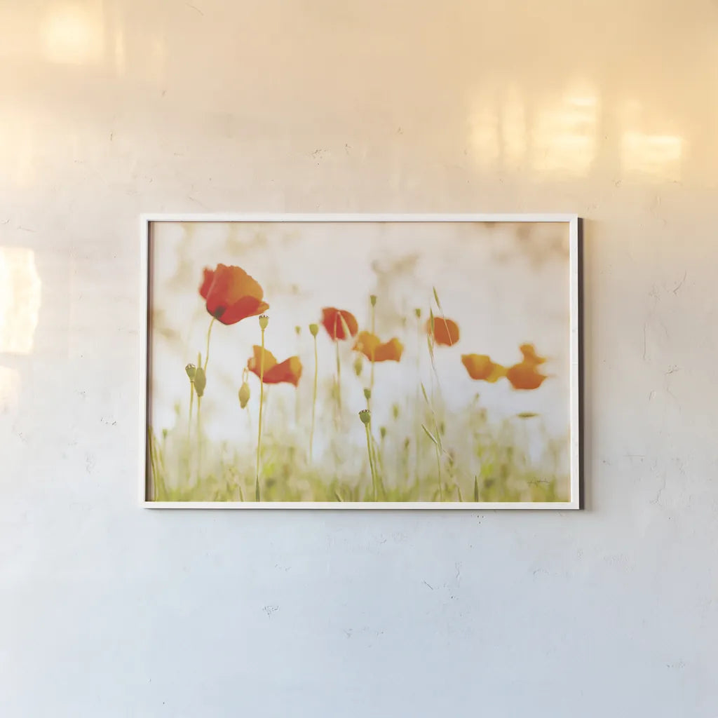 Meadow Poppies by Aledanda. shown as a paper print in a white frame. Available as a archival giclee rolled canvas, fine art paper, or poster print. SKU 72739i.
