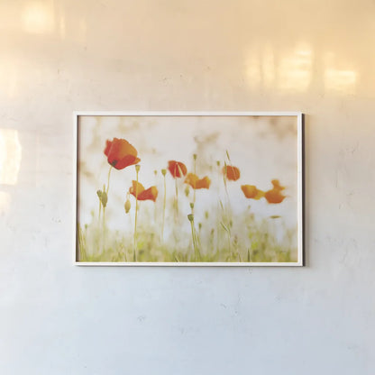 Meadow Poppies by Aledanda. shown as a paper print in a white frame. Available as a archival giclee rolled canvas, fine art paper, or poster print. SKU 72739i.