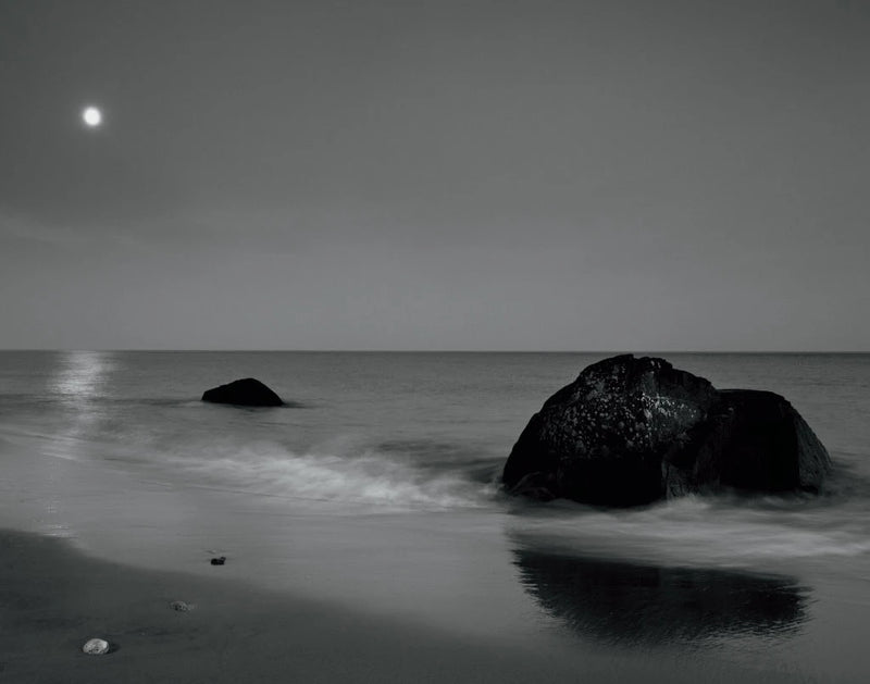 Moonlit I by Aledanda