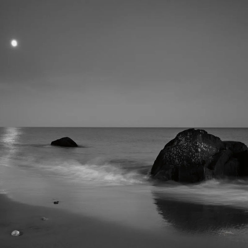 Moonlit I Crop by Aledanda. SKU 37443a. Archival Giclee Fine art print for wall decor.