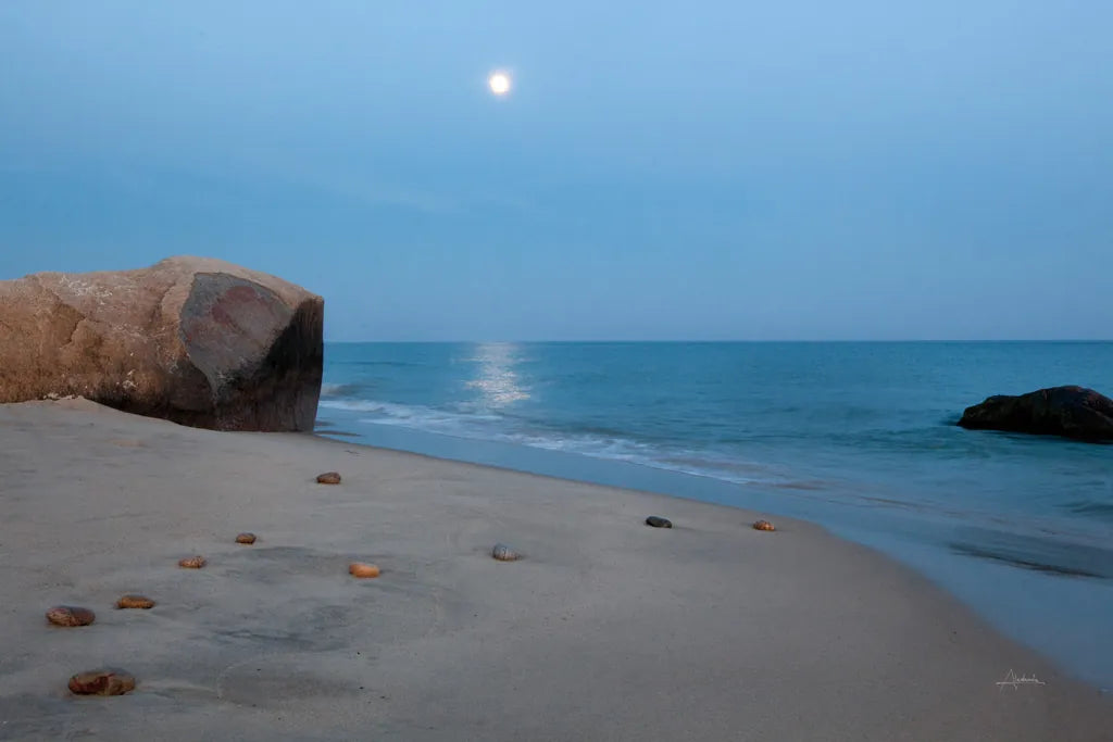 Moonlit II Crop by Aledanda. SKU 37442i. Archival Giclee Fine art print for wall decor.