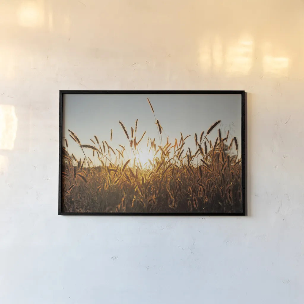 Morning Grain by Aledanda. shown as a paper print in a black flame. Available as a archival giclee rolled canvas, fine art paper, or poster print. SKU 52954i.
