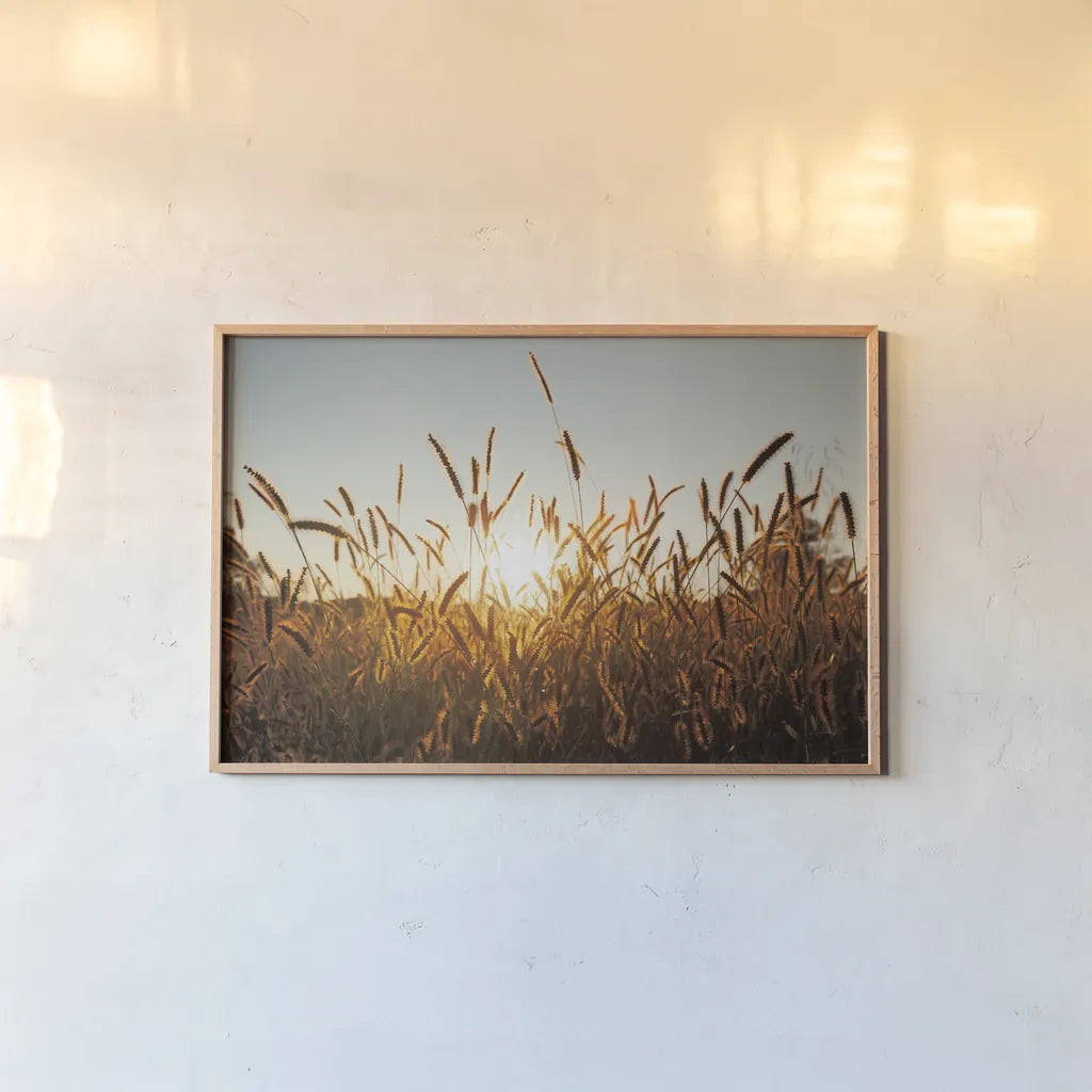 Morning Grain by Aledanda. shown as a paper print in a natural frame. Available as a archival giclee rolled canvas, fine art paper, or poster print. SKU 52954i.