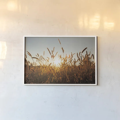 Morning Grain by Aledanda. shown as a paper print in a white frame. Available as a archival giclee rolled canvas, fine art paper, or poster print. SKU 52954i.