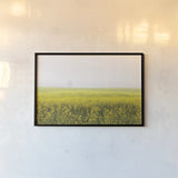 Mustard Seeds by Aledanda. shown as a paper print in a black flame. Available as a archival giclee rolled canvas, fine art paper, or poster print. SKU 52957i.