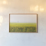 Mustard Seeds by Aledanda. shown as a paper print in a natural frame. Available as a archival giclee rolled canvas, fine art paper, or poster print. SKU 52957i.