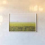 Mustard Seeds by Aledanda. shown as a paper print in a white frame. Available as a archival giclee rolled canvas, fine art paper, or poster print. SKU 52957i.