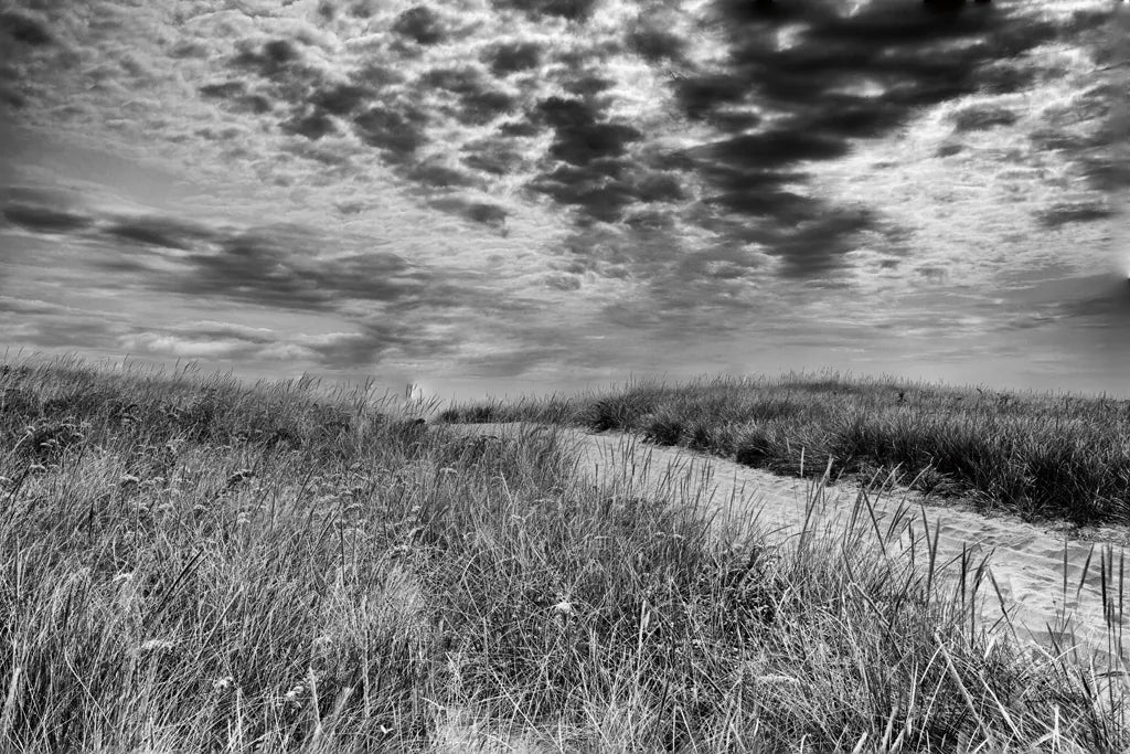 Nantucket Dunes by Aledanda. SKU 52953i. Archival Giclee Fine art print for wall decor.