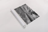 Nantucket Dunes by Aledanda. shown as a rolled paper print. Available as archival giclee rolled canvas, fine art paper, or poster print. SKU 52953i.