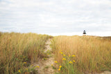 Nantucket Light Color by Aledanda. SKU 77228i. Archival Giclee Fine art print for wall decor.