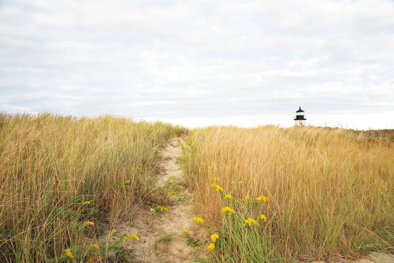 Nantucket Light Color by Aledanda. SKU 77228i. Archival Giclee Fine art print for wall decor.