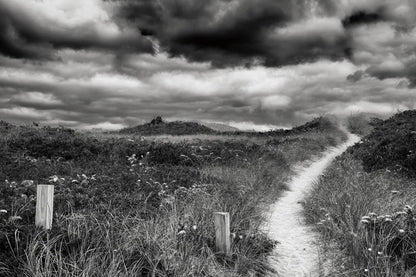 Nantucket Pathway by Aledanda. SKU 64375i. Archival Giclee Fine art print for wall decor.