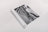 Nantucket Shadows by Aledanda. shown as a rolled paper print. Available as archival giclee rolled canvas, fine art paper, or poster print. SKU 64376i.