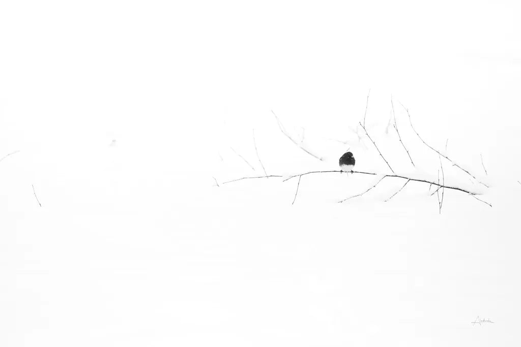 Nice and Cozy by Aledanda. SKU 62479i. Archival Giclee Fine art print for wall decor.