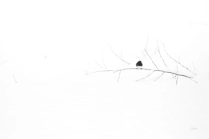 Nice and Cozy by Aledanda. SKU 62479i. Archival Giclee Fine art print for wall decor.