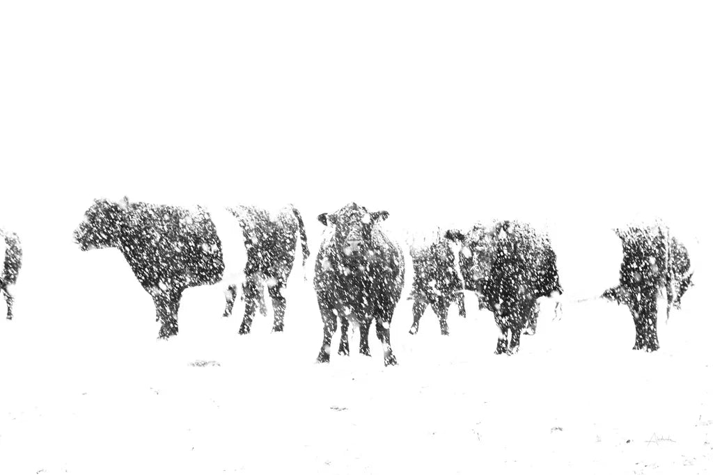 Oreos and Milk II by Aledanda. SKU 38309i. Archival Giclee Fine art print for wall decor.