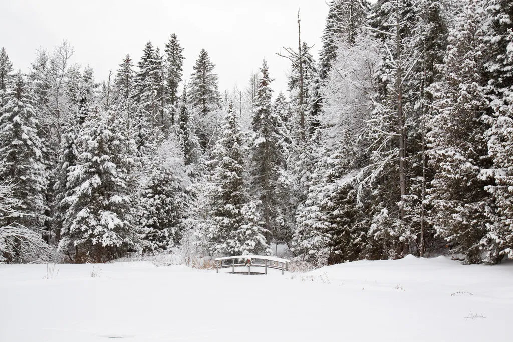 Over the Bridge by Aledanda. SKU 60991i. Archival Giclee Fine art print for wall decor.