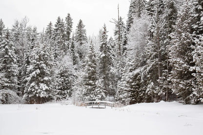 Over the Bridge by Aledanda. SKU 60991i. Archival Giclee Fine art print for wall decor.