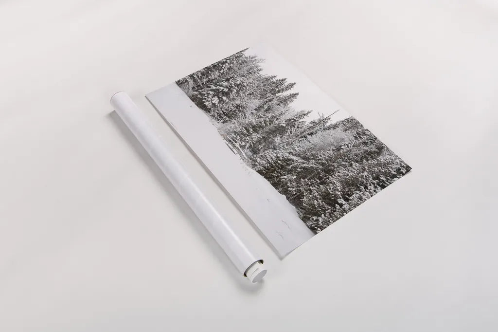 Over the Bridge by Aledanda. shown as a rolled paper print. Available as archival giclee rolled canvas, fine art paper, or poster print. SKU 60991i.