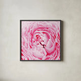 Pale Pink Peony by Aledanda. Shown in a sleek black glass frame for a contemporary gallery look. Available as an archival giclee rolled canvas, fine art paper, or poster print. SKU 37453a.