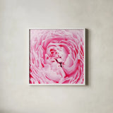 Pale Pink Peony by Aledanda. Shown in a crisp white glass frame for a clean and minimalist style. Available as an archival giclee rolled canvas, fine art paper, or poster print. SKU 37453a.