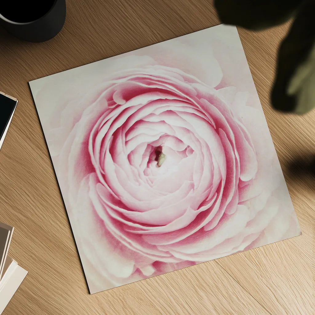 Peony Blossom by Aledanda. Shown as a detailed flat fine art print, highlighting archival giclee quality. Available as an archival giclee rolled canvas, fine art paper, or poster print. SKU 37452a.