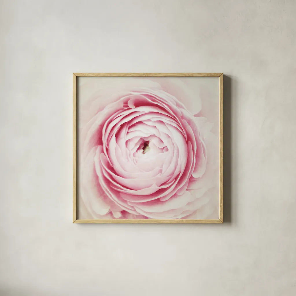 Peony Blossom by Aledanda. Shown in a natural wood glass frame for a timeless modern aesthetic. Available as an archival giclee rolled canvas, fine art paper, or poster print. SKU 37452a.
