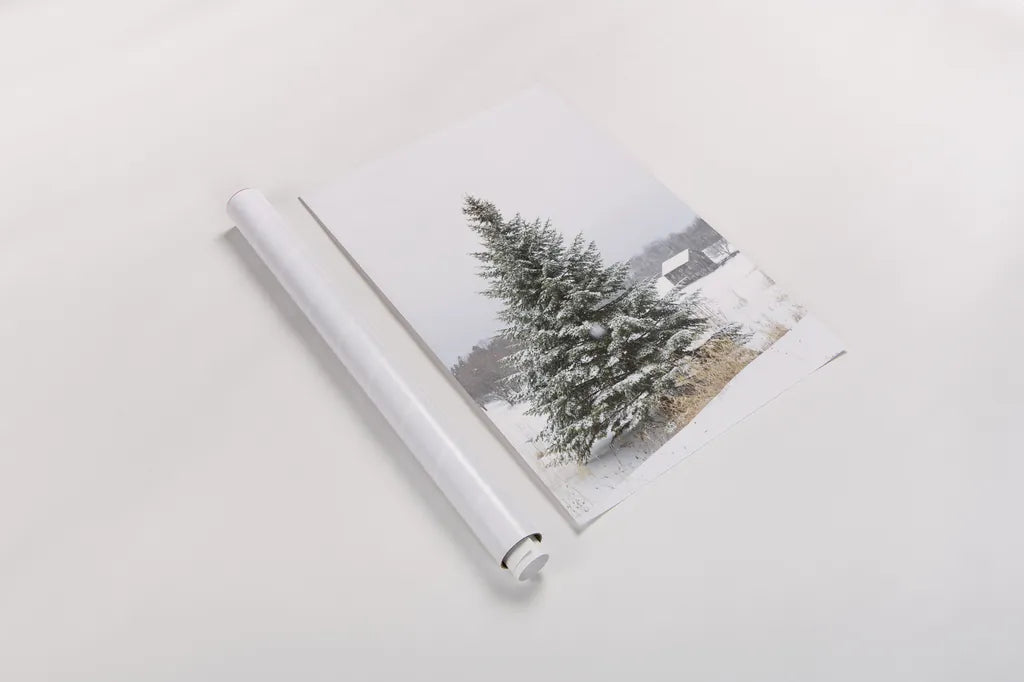 Perfect Pine Tree by Aledanda. shown as a rolled paper print. Available as archival giclee rolled canvas, fine art paper, or poster print. SKU 60998h.