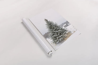 Perfect Pine Tree by Aledanda. shown as a rolled paper print. Available as archival giclee rolled canvas, fine art paper, or poster print. SKU 60998h.