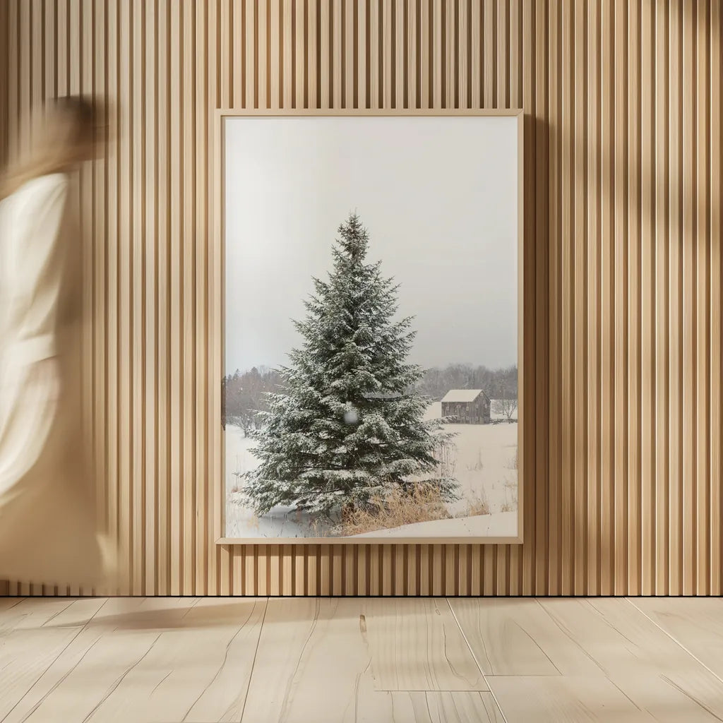 Perfect Pine Tree by Aledanda. shown as over sized large wall art. Available as an archival giclee rolled canvas, fine art paper, or poster print. SKU 60998h.