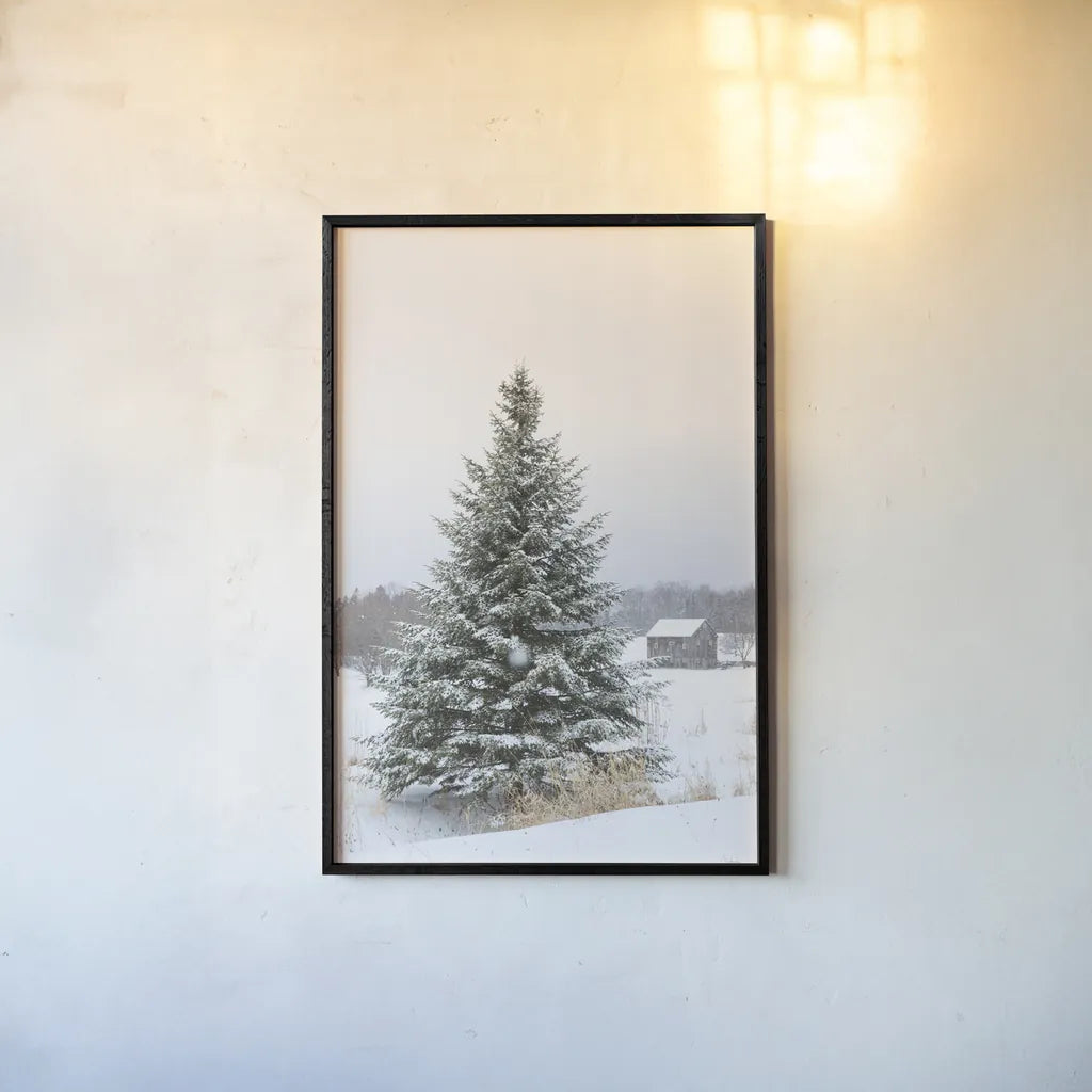 Perfect Pine Tree by Aledanda. shown as a paper print in a black flame. Available as a archival giclee rolled canvas, fine art paper, or poster print. SKU 60998h.